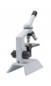 B-50 Educational Microscope