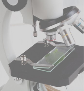 <p>Microscopes</p><p>Popular<p>
